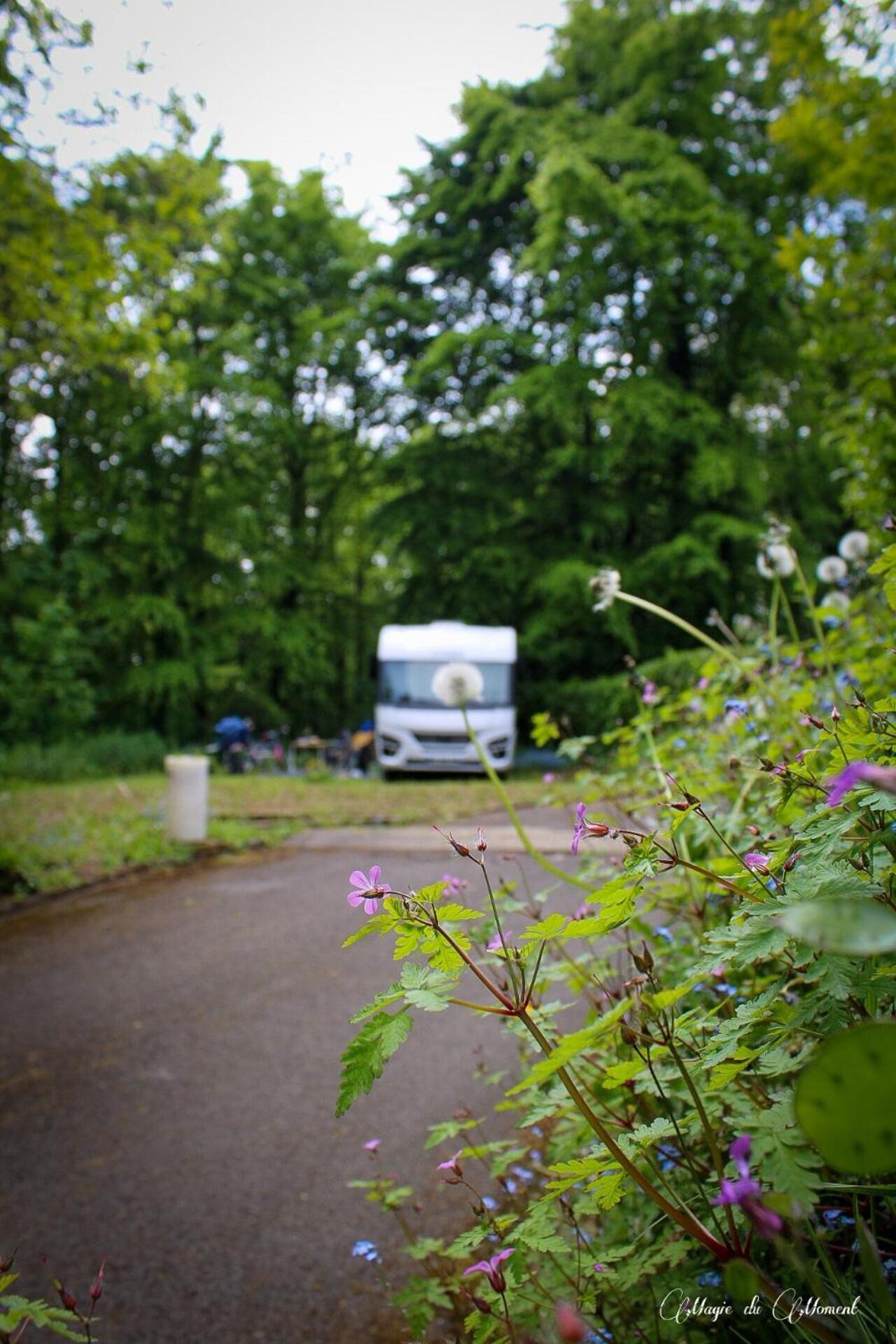Camping La Sabliere Saint-Jans-Cappel Екстер'єр фото